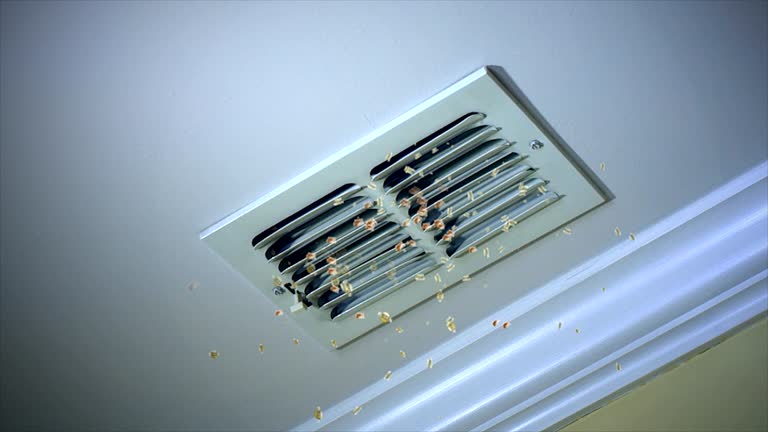 Best Affordable Duct Cleaning Services  in Ben Bolt, TX