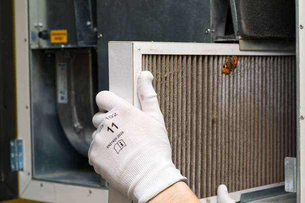 Best Best Air Duct Cleaning Company  in Ben Bolt, TX