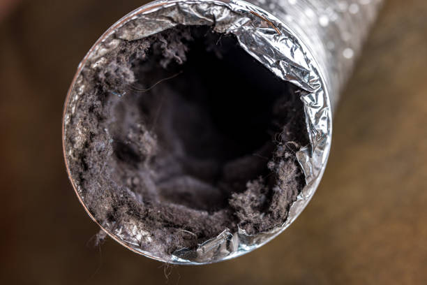 Professional Airduct Cleaning in Ben Bolt, TX